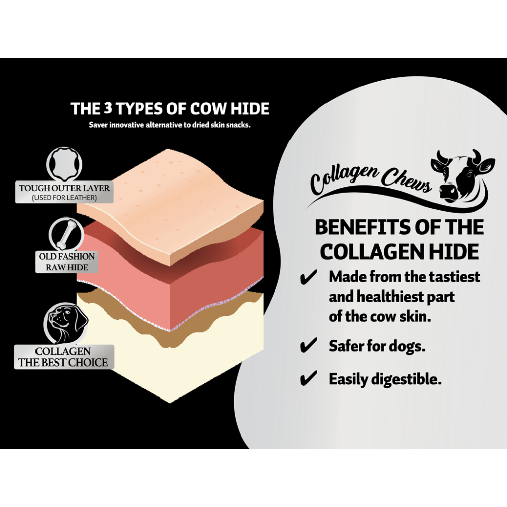 Croquez dans la vitalité avec les bâtonnets à mâcher au saumon Luna's Choice Collagen M