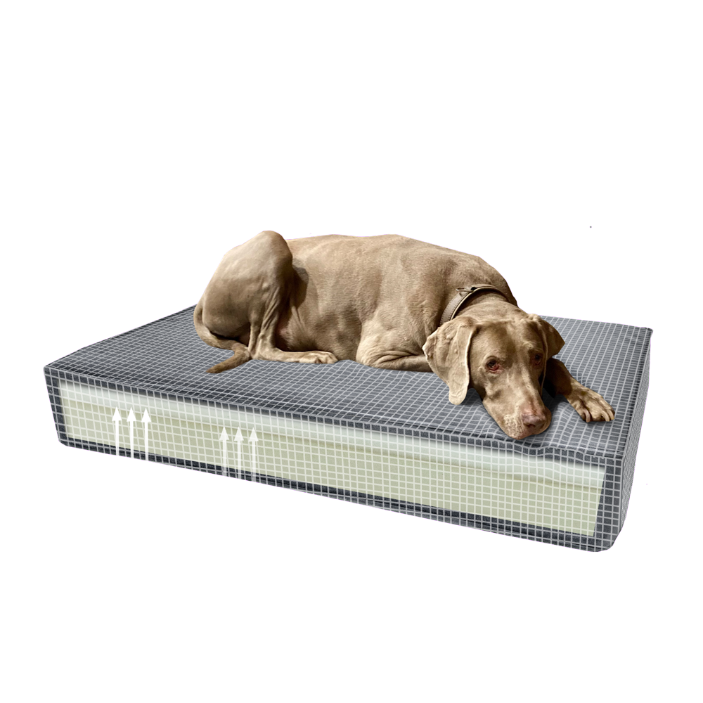 Coussin Orthopédique Madison Velours Orange S pour Chien