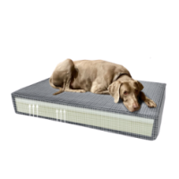 Coussin Orthopédique Madison Velours Orange S pour Chien