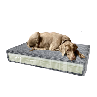 Coussin Orthopédique Madison Velours Vert S pour Chien