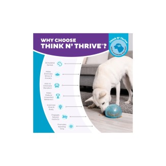 Jouet interactif pour chien Outward Hound Orbee-Tuff Snoop Grand Modèle Bleu