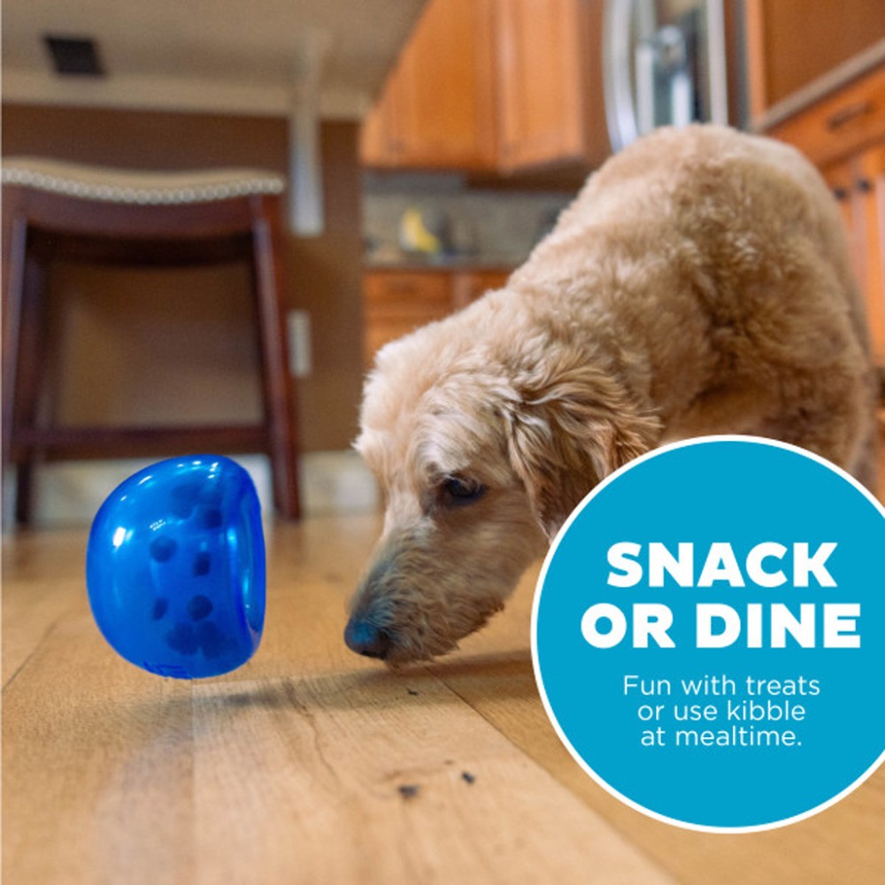Outward Hound Orbee-Tuff Snoop M Bleu: Jouet Interactif pour Chien Fun & Durable