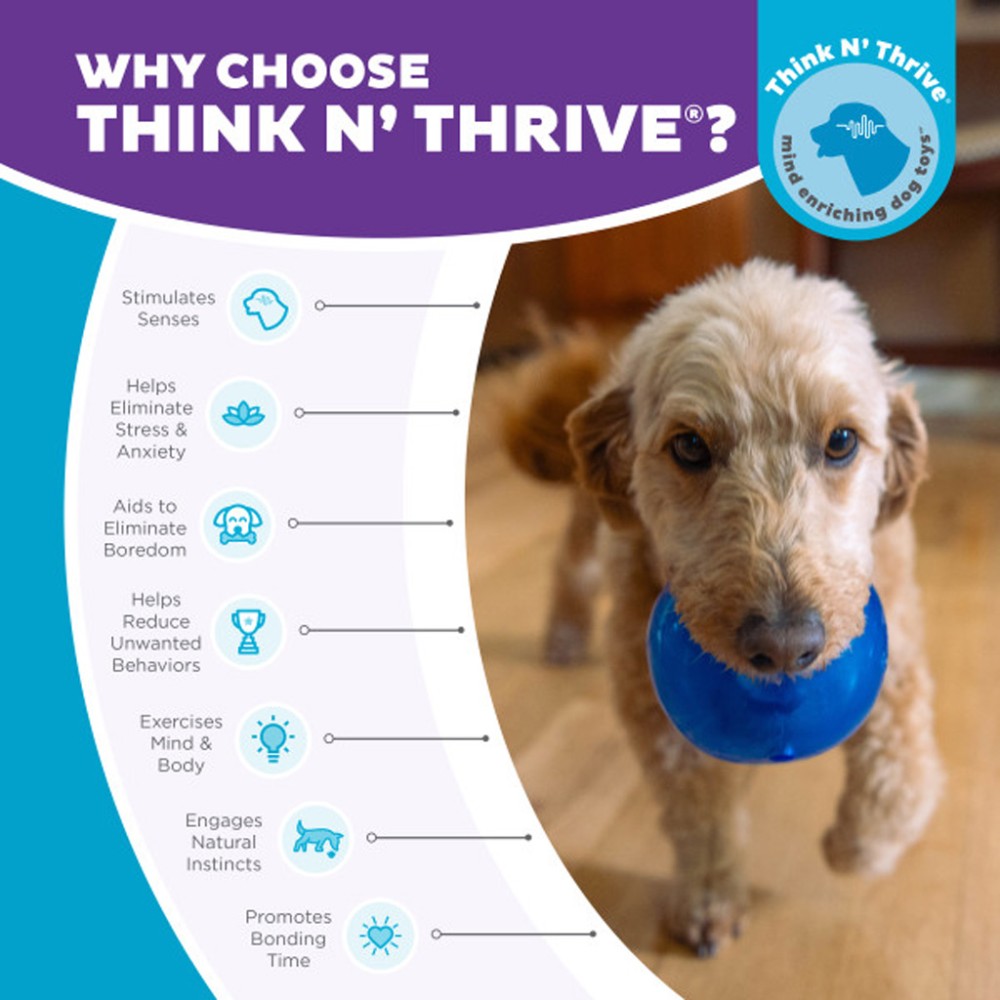 Outward Hound Orbee-Tuff Snoop M Bleu: Jouet Interactif pour Chien Fun & Durable