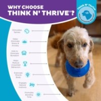 Outward Hound Orbee-Tuff Snoop M Bleu: Jouet Interactif pour Chien Fun & Durable
