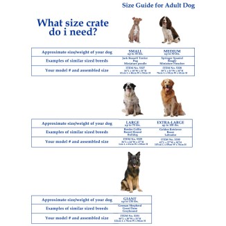 Pawise Cage d'Intérieur XXL en Métal pour Chien - Spacieuse et Robuste