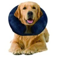 Collier gonflable de protection pour chien Pawise M - Confort et sécurité