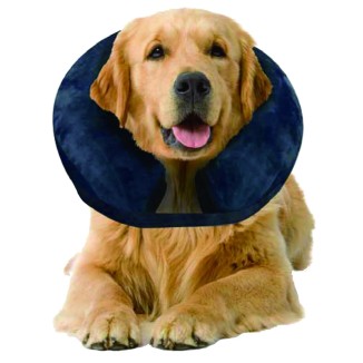 Collier de Protection Gonflable Pawise L pour Chiens - Confortable et Pratique