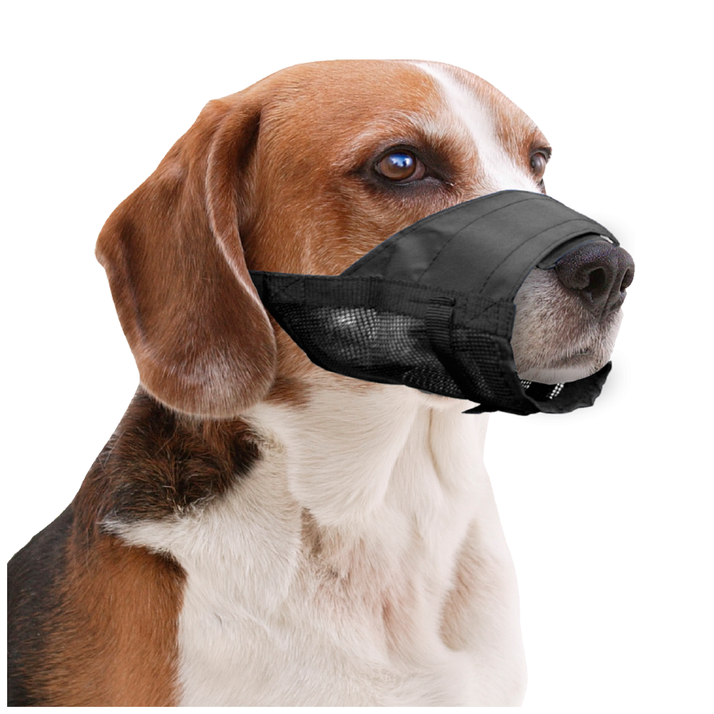 Muselière Réglable en Nylon Pawise S - Contenance et Dimensions Compactes