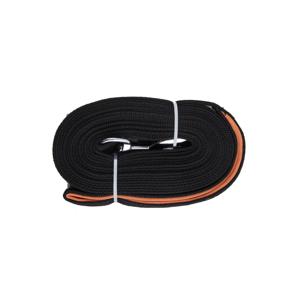 Laisse d'éducation longue Pawise 5 m - Liberté et dressage efficace