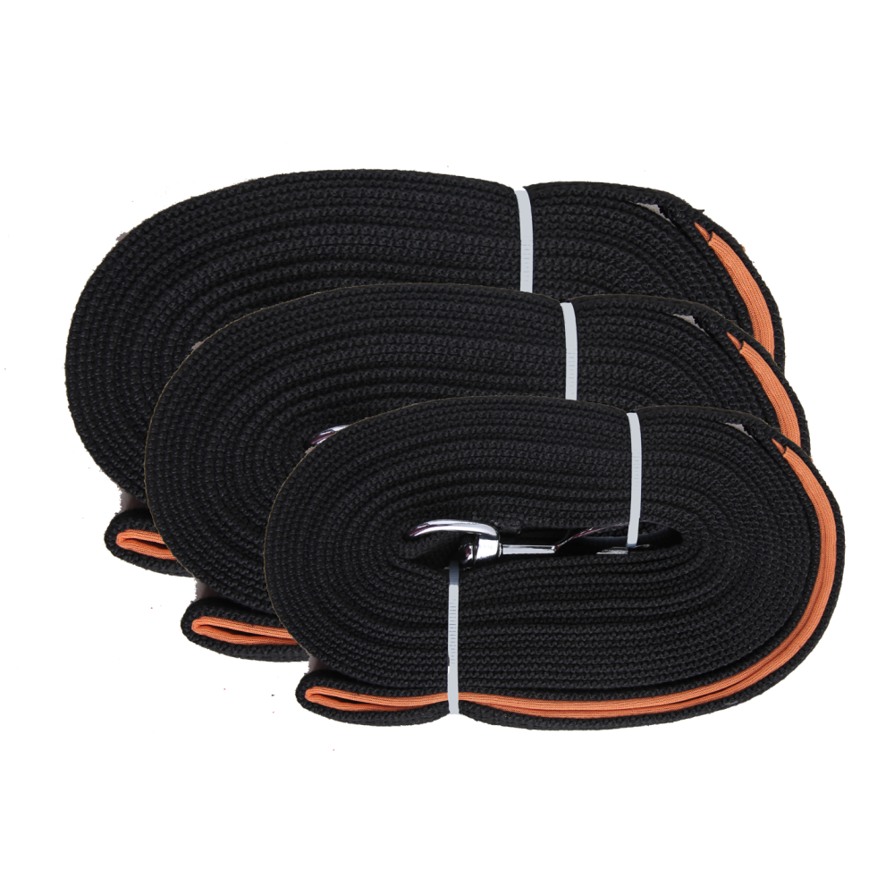 Laisse d'éducation longue Pawise 5 m - Liberté et dressage efficace