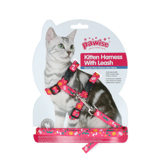 Ensemble Harnais et Laisse Chatons Pawise Rose/Violet - Promenade stylée!
