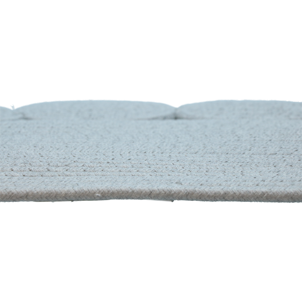 Tapis à Gratter Pawise - Pour les Chats Actifs | 49.2x36.6x3.4 cm