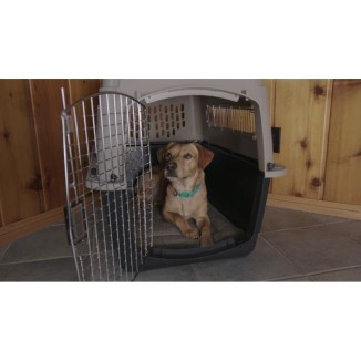 Petmate Ultra Vari Kennel XXL - Cage de Transport pour Chiens Géants