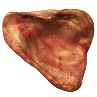 Pet Qwerks Oreille de Porc M: Pour une Mastication Naturelle et Saine 🐶