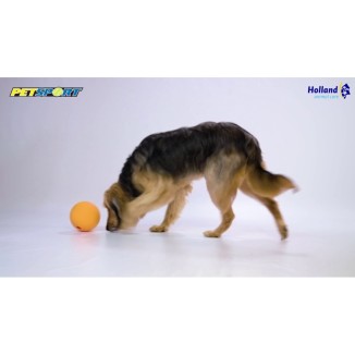 Gamelle pour chien Petsport Kingpin Kibbler Noir - 15x15x15 cm