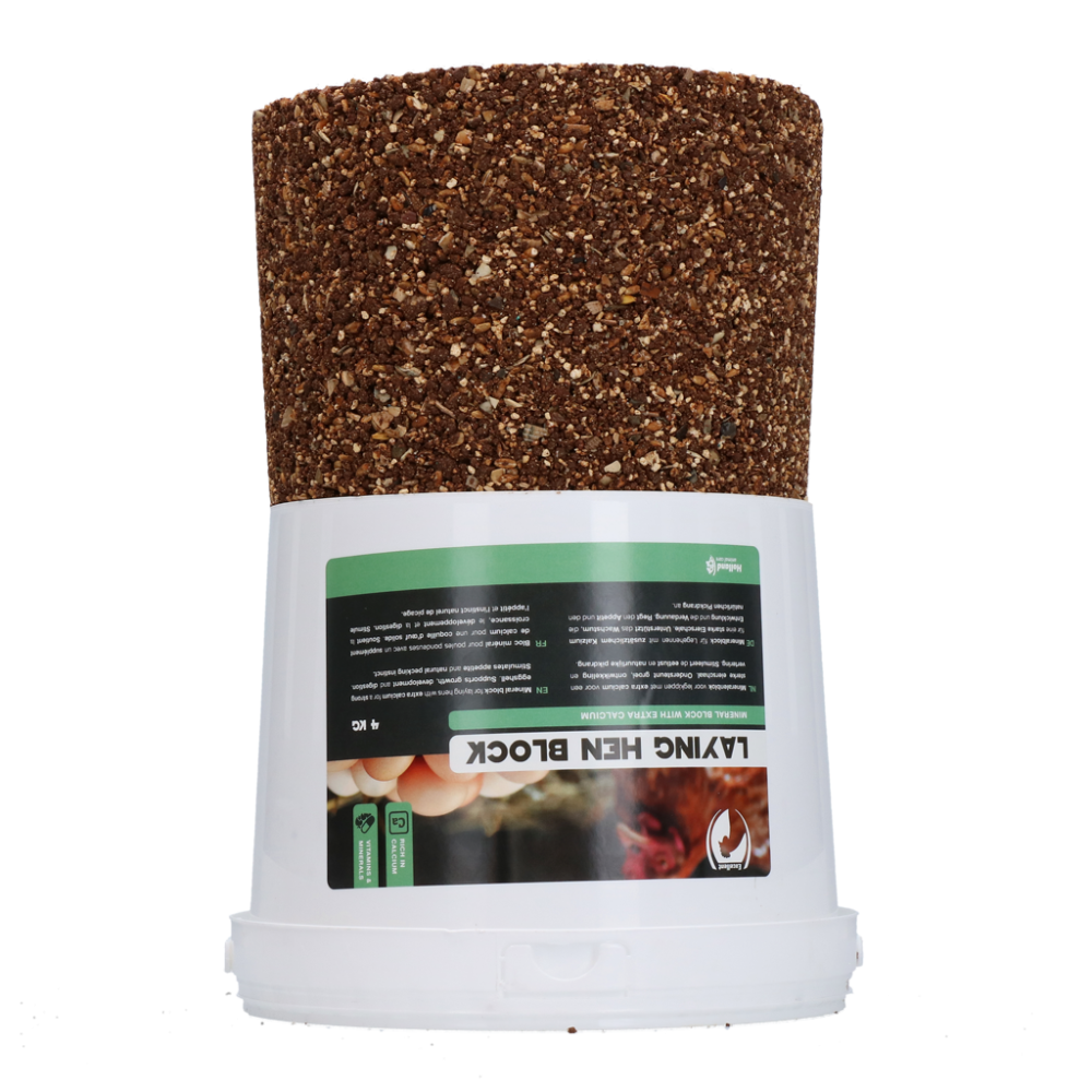 Bloc de Picorage Premium pour Poules Pondeuses 4 kg - Qualité supérieure