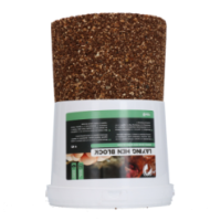 Bloc de Picorage Premium pour Poules Pondeuses 4 kg - Qualité supérieure