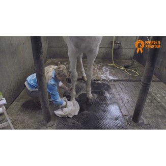 Huile Éclat Sabots Paardenpraat TV : Soin et Brillance 