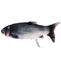 Robocat Poisson Carpe - Jouet interactif pour chat aisément contrôlé