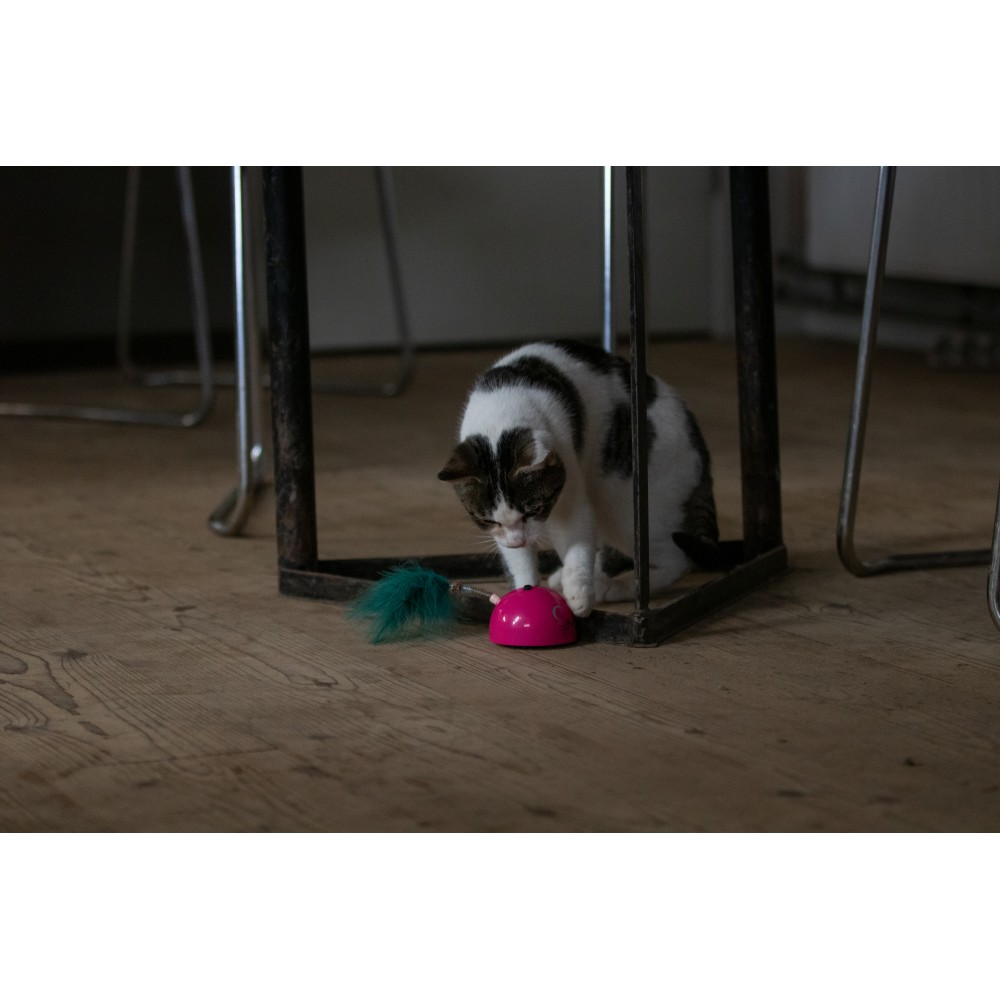 Souris Robocat Rose - Compacte et ludique pour les chats