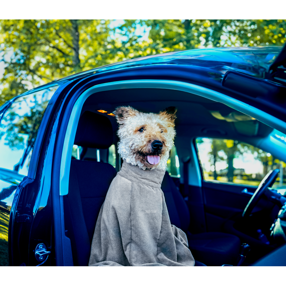Sac de séchage Royal Dry Doggy Bag XS - Absorption rapide pour chiens - Pratique et compact