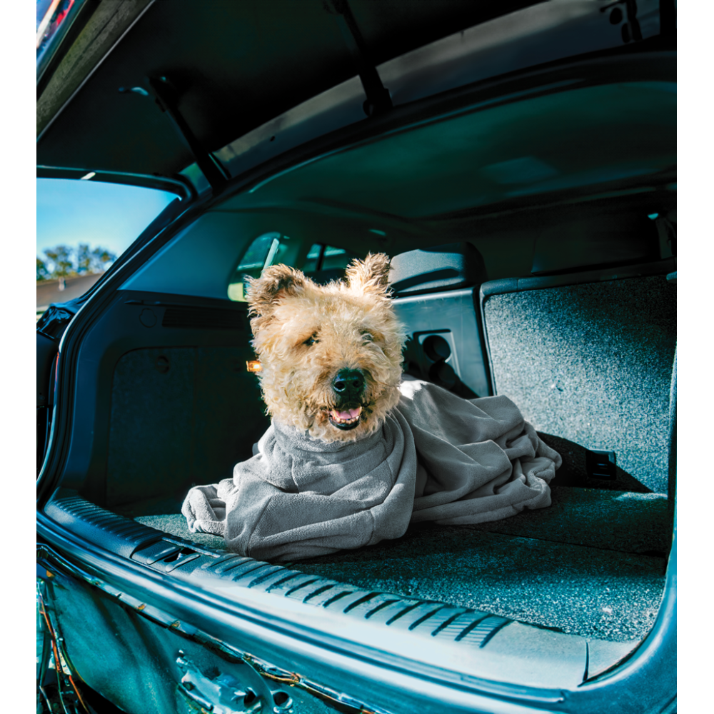 Sac de séchage Royal Dry Doggy Bag XS - Absorption rapide pour chiens - Pratique et compact