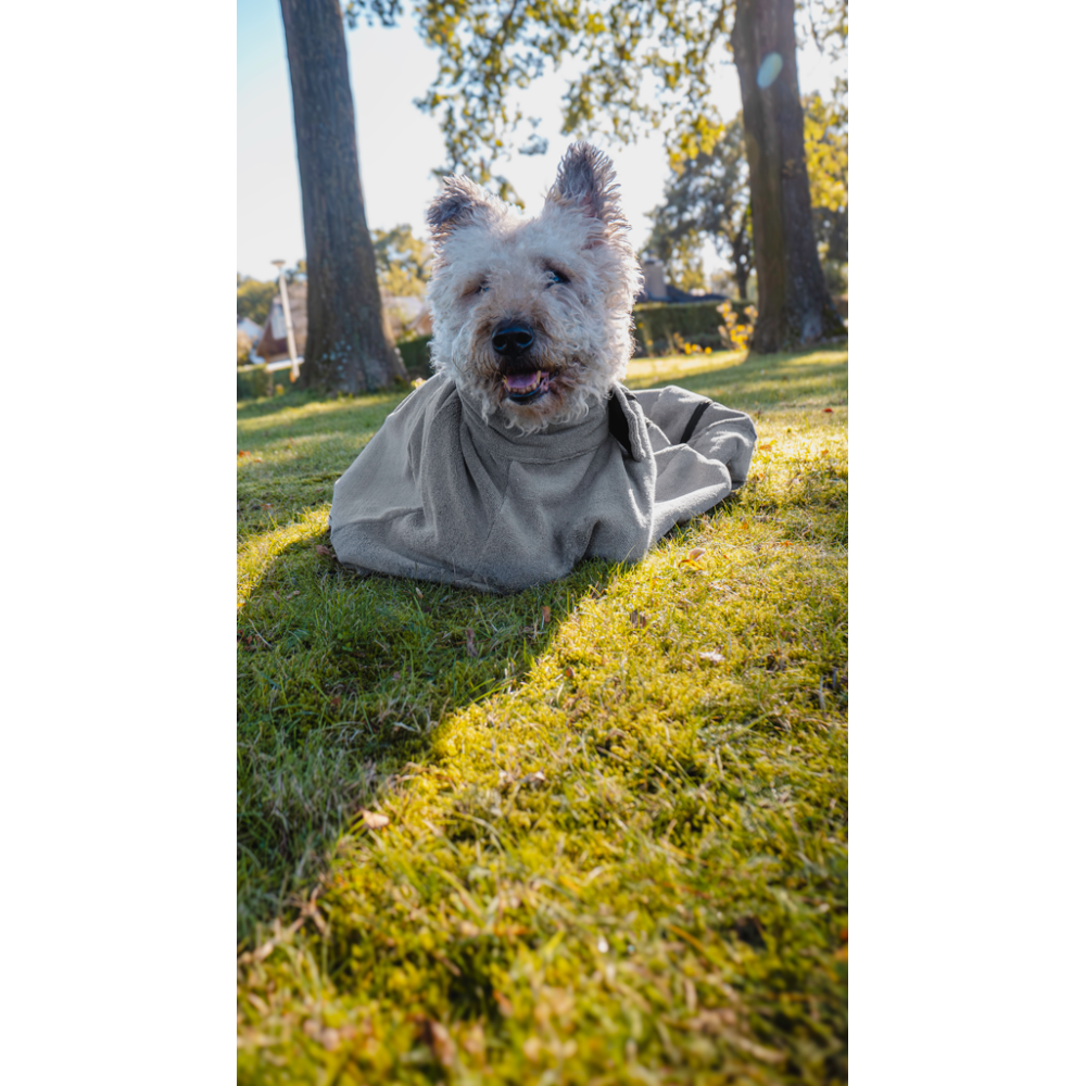 Sac de séchage Royal Dry Doggy Bag XS - Absorption rapide pour chiens - Pratique et compact