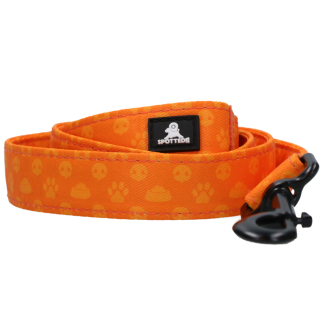 Laisse Spotted! Pro Parfaite 120 cm Orange | Qualité supérieure