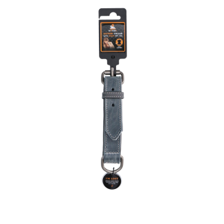 Collier Pro en Cuir Gris pour Chien 2.5x40cm - Qualité Professionnelle