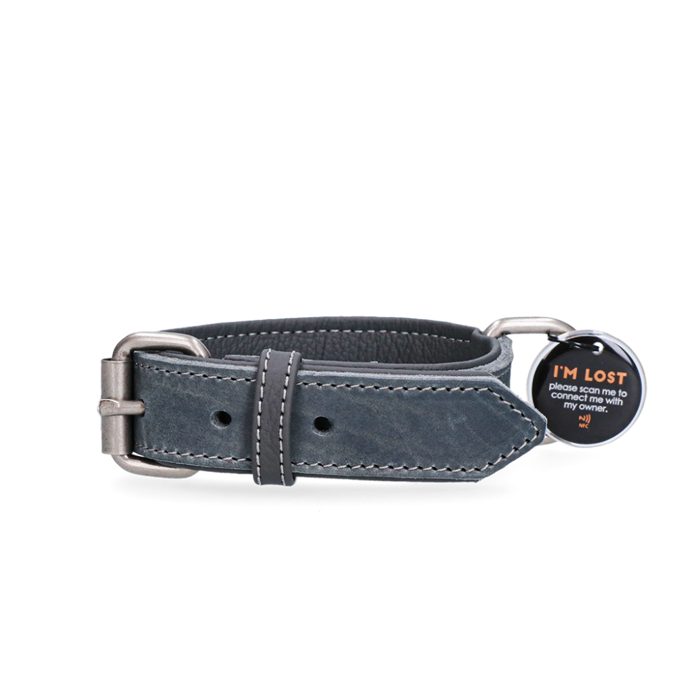 Collier Pro en Cuir Gris pour Chien 2.5 x 50 cm