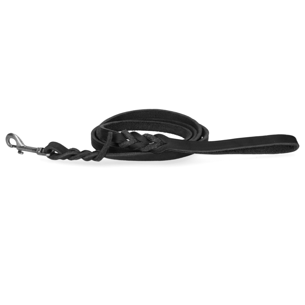 Spotted! Laisse de présentation en cuir noir 1,6 x 180 cm (mousqueton à boulon)