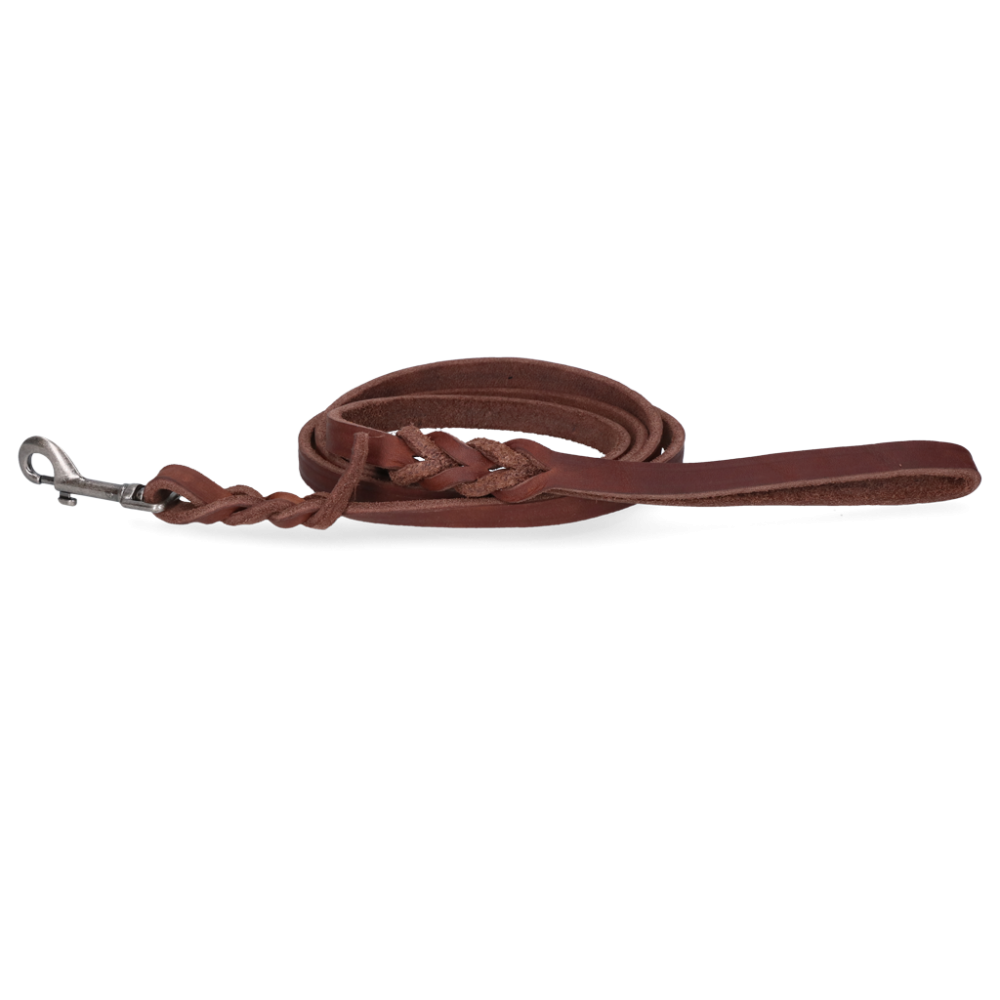 Spotted! Laisse d'exposition en cuir Pro marron 1,8 x 180 cm (mousqueton)