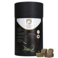 Excellent Blocs Sucrés pour Chevaux Eucalyptus 3 kg