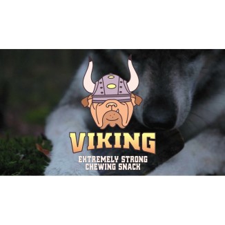 Corne de Viking torsadée L