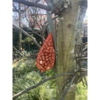Crochet de suspension