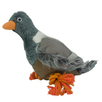 Vie sauvage Chien Pigeon