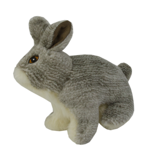 Chien Lapin de la Vie Sauvage