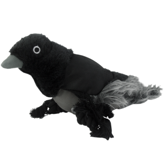Chien Corbeau de la Vie Sauvage
