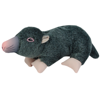 Chien-taupe de la vie sauvage