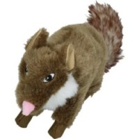 Wild Life Chien Martre