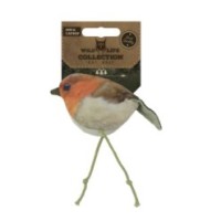 Wild Life Chat Robin