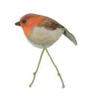 Wild Life Chat Robin
