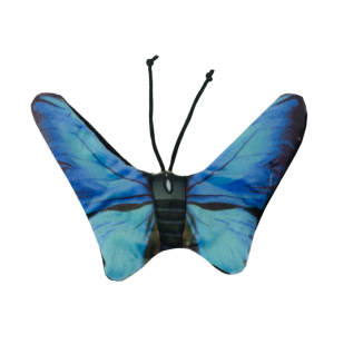 Wild Life Chat Papillon Bleu