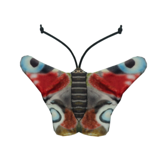 Wild Life Chat Paon Papillon