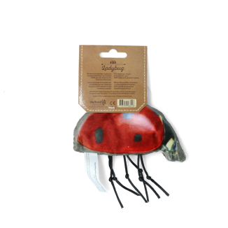Wild Life Chat Coccinelle