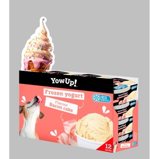 YowUp! Gâteau au Yaourt Glacé au Bacon