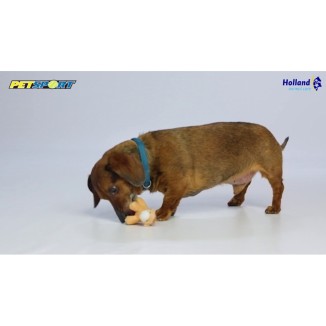 Petsport Tiny Tots Teddy Rose