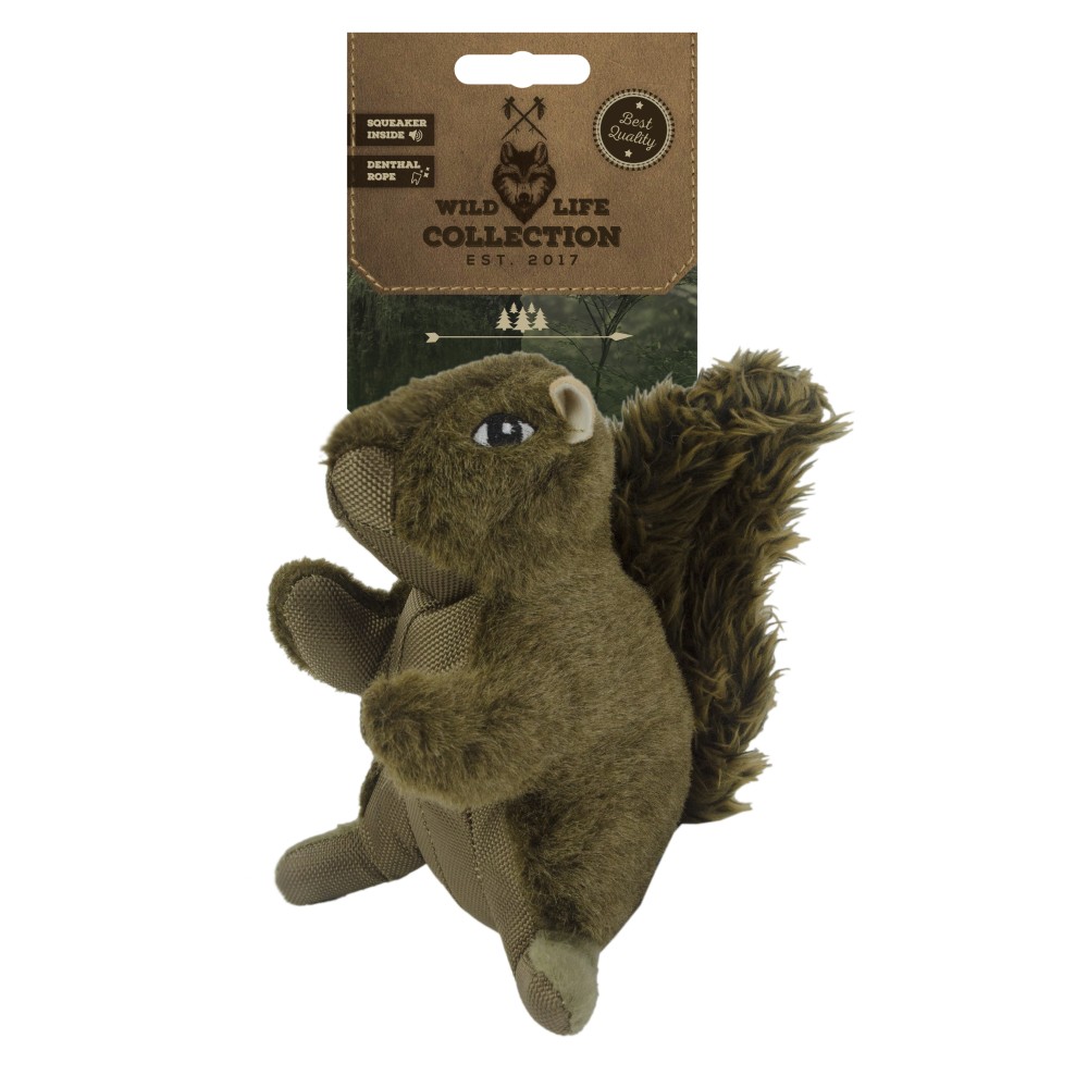 Chien écureuil de la vie sauvage