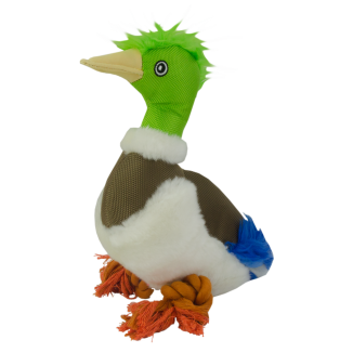 Wild Life Chien Canard