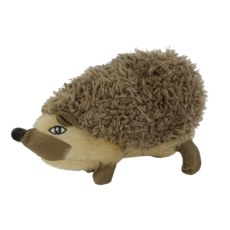 Chien hérisson de la vie sauvage